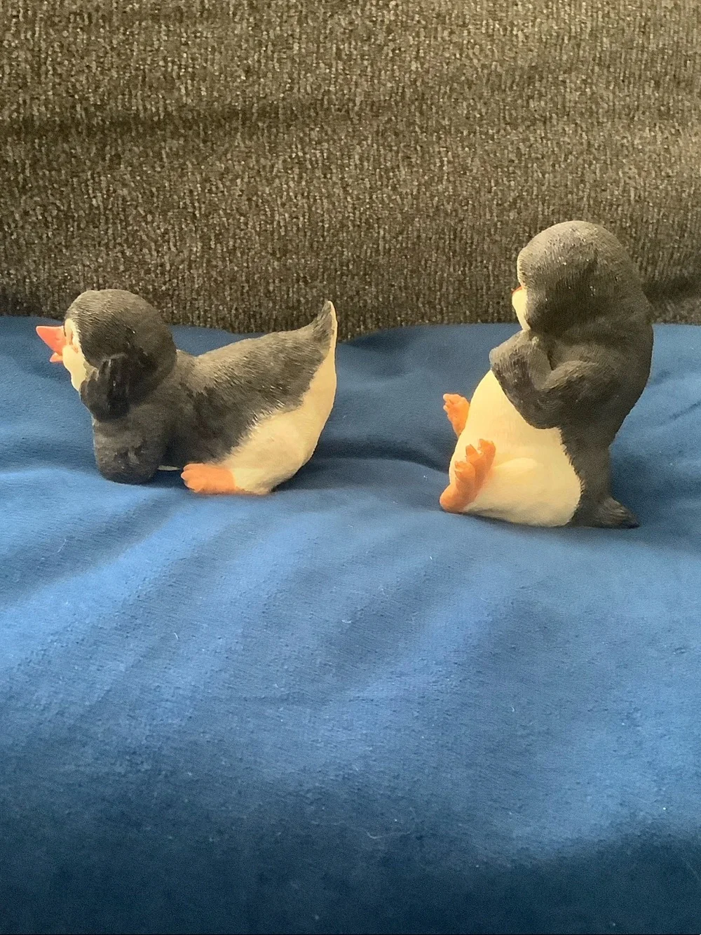 N/A charming penguin
